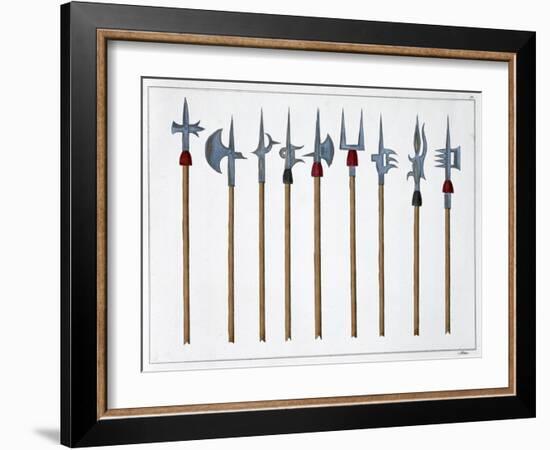 Lances, spears, halberds and partisanes, 1842-Friedrich Martin von Reibisch-Framed Giclee Print