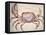 Land Crab-John White-Framed Premier Image Canvas