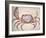 Land Crab-John White-Framed Giclee Print