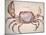 Land Crab-John White-Mounted Giclee Print