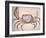 Land Crab-John White-Framed Giclee Print