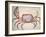 Land Crab-John White-Framed Giclee Print