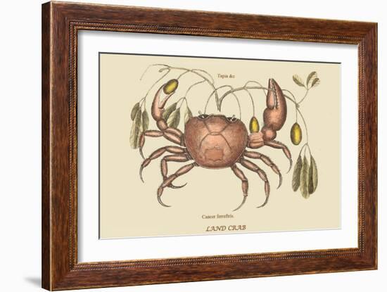 Land Crab-Mark Catesby-Framed Art Print