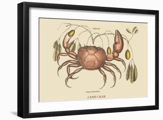 Land Crab-Mark Catesby-Framed Art Print