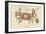 Land Crab-Mark Catesby-Framed Art Print