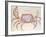 Land Crab-John White-Framed Giclee Print