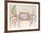 Land Crab-John White-Framed Giclee Print