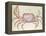 Land Crab-John White-Framed Premier Image Canvas