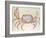 Land Crab-John White-Framed Giclee Print