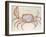 Land Crab-John White-Framed Giclee Print