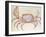 Land Crab-John White-Framed Giclee Print