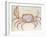 Land Crab-John White-Framed Giclee Print