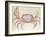 Land Crab-John White-Framed Giclee Print