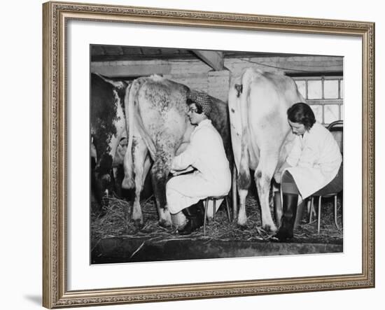 Land Girls Milking Cows at a Dairy Farm in Hartley, Kent During World War II-Robert Hunt-Framed Photographic Print