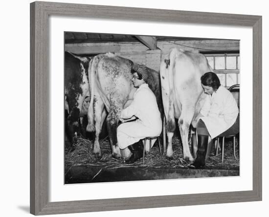 Land Girls Milking Cows at a Dairy Farm in Hartley, Kent During World War II-Robert Hunt-Framed Photographic Print