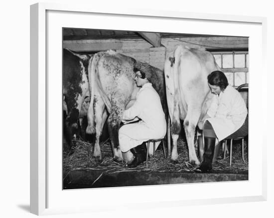 Land Girls Milking Cows at a Dairy Farm in Hartley, Kent During World War II-Robert Hunt-Framed Photographic Print