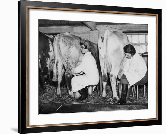 Land Girls Milking Cows at a Dairy Farm in Hartley, Kent During World War II-Robert Hunt-Framed Photographic Print