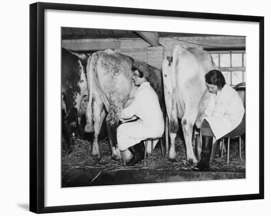 Land Girls Milking Cows at a Dairy Farm in Hartley, Kent During World War II-Robert Hunt-Framed Photographic Print