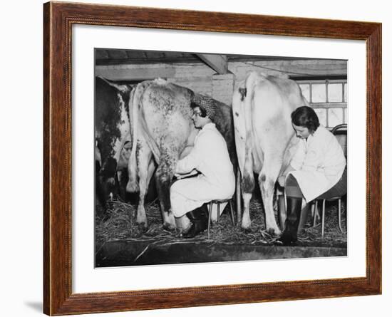 Land Girls Milking Cows at a Dairy Farm in Hartley, Kent During World War II-Robert Hunt-Framed Photographic Print