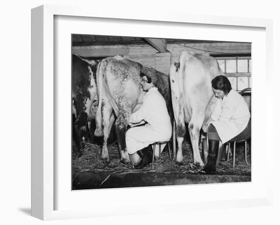 Land Girls Milking Cows at a Dairy Farm in Hartley, Kent During World War II-Robert Hunt-Framed Photographic Print