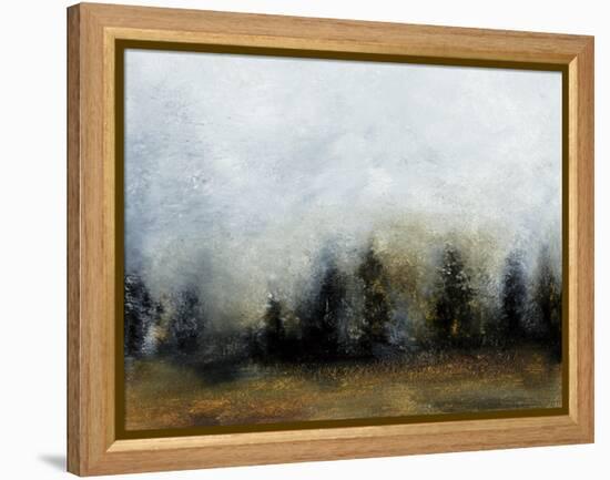 Land IV-Sharon Gordon-Framed Stretched Canvas