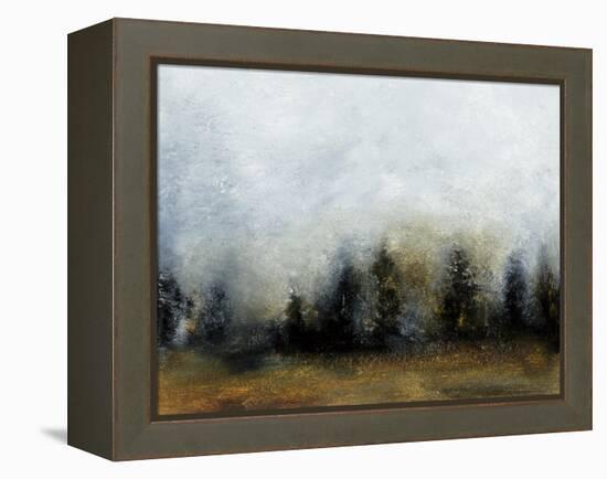 Land IV-Sharon Gordon-Framed Stretched Canvas