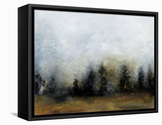 Land IV-Sharon Gordon-Framed Stretched Canvas