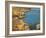 Land of a Thousand Caves-William Wendt-Framed Art Print