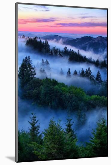 Land of Dreams and Fog, Sunset Over San Francisco Bay Area Hills-Vincent James-Mounted Photographic Print