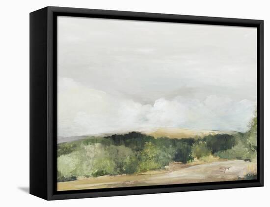 Land of Promise-Allison Pearce-Framed Stretched Canvas