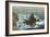 Land's End, 1872 (Oil on Board)-John Brett-Framed Giclee Print