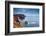 Land's End, Penzance, Cornwall, England, United Kingdom, Europe-Kav Dadfar-Framed Photographic Print