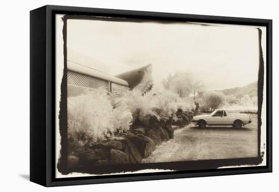 Land Shark, Australia-Theo Westenberger-Framed Premier Image Canvas