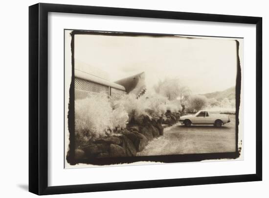 Land Shark, Australia-Theo Westenberger-Framed Photographic Print