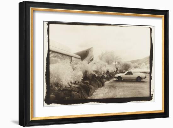 Land Shark, Australia-Theo Westenberger-Framed Photographic Print