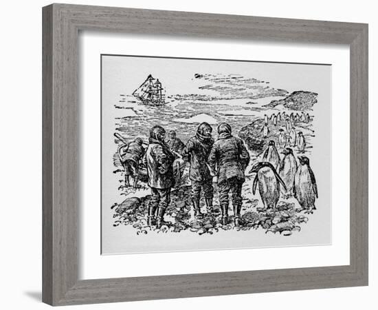 Landed on a Small Island Inhabited by Myriads of Penguins, C1918-null-Framed Giclee Print