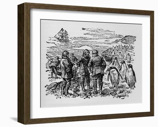 Landed on a Small Island Inhabited by Myriads of Penguins, C1918-null-Framed Giclee Print