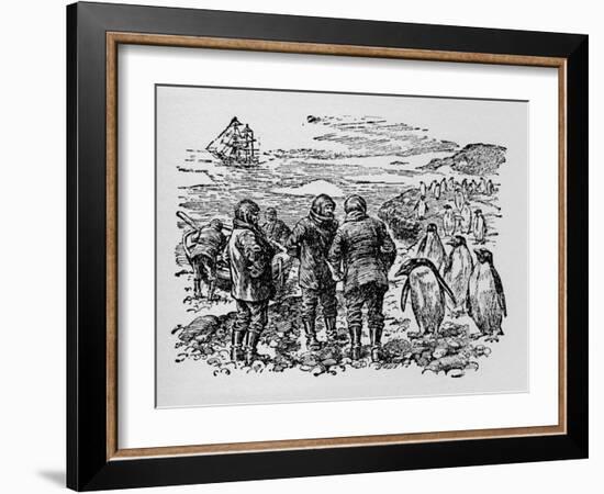 Landed on a Small Island Inhabited by Myriads of Penguins, C1918-null-Framed Giclee Print