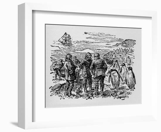 Landed on a Small Island Inhabited by Myriads of Penguins, C1918-null-Framed Giclee Print