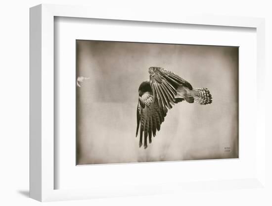 Landing Home-Nathan Larson-Framed Photographic Print