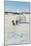 Landing in Norway-Unsere Wehrmacht-Mounted Photographic Print