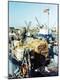 Premium Photographic Print