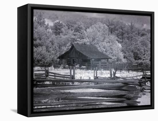 Landmark Park, Near Dothan, Alabama-Carol Highsmith-Framed Stretched Canvas