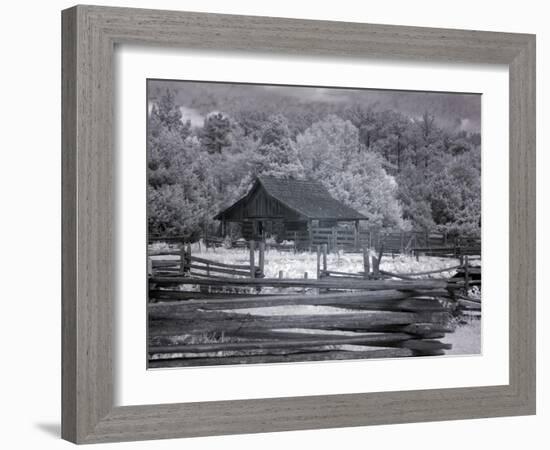 Landmark Park, Near Dothan, Alabama-Carol Highsmith-Framed Art Print