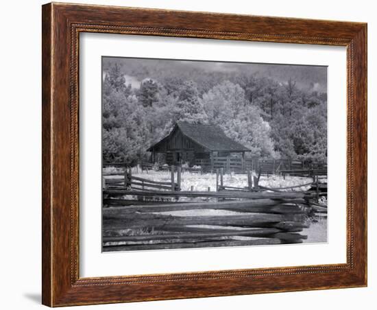 Landmark Park, Near Dothan, Alabama-Carol Highsmith-Framed Art Print
