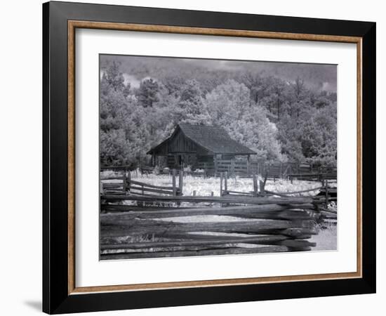 Landmark Park, Near Dothan, Alabama-Carol Highsmith-Framed Art Print