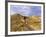 Landon Monholland Mountain Bikes on the Zippy Doo Dah Trail in Fruita, Colorado, Usa-Chuck Haney-Framed Photographic Print