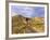 Landon Monholland Mountain Bikes on the Zippy Doo Dah Trail in Fruita, Colorado, Usa-Chuck Haney-Framed Photographic Print