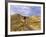 Landon Monholland Mountain Bikes on the Zippy Doo Dah Trail in Fruita, Colorado, Usa-Chuck Haney-Framed Photographic Print