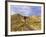 Landon Monholland Mountain Bikes on the Zippy Doo Dah Trail in Fruita, Colorado, Usa-Chuck Haney-Framed Photographic Print